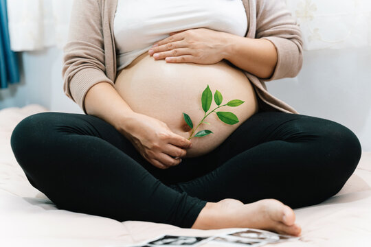 A Pregnant woman holds green sprout plant near her belly as symbol of new life, Mother, wellbeing, fertility, unborn baby health. Concept pregnancy, maternity, eco sustainable lifestyle, gynecology.