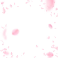 Fototapeta na wymiar Sakura petals falling down. Romantic pink flowers vignette. Flying petals on white square background. Love, romance concept. Great wedding invitation.