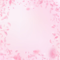 Sakura petals falling down. Romantic pink flowers frame. Flying petals on pink square background. Love, romance concept. Pretty wedding invitation.