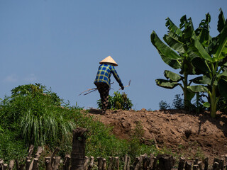 Mekong Delta, Vietnam
