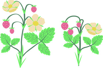 background with flowers