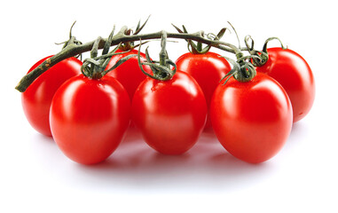 Branch of ripe red tomatoes isolated on white background.