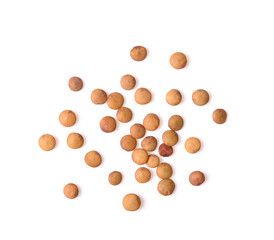 Brown Lentils on white background