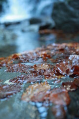 close up of water drops