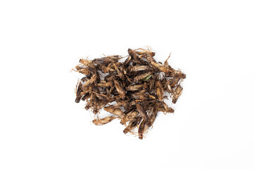 Fried insects Acheta domestica isolated on white background.