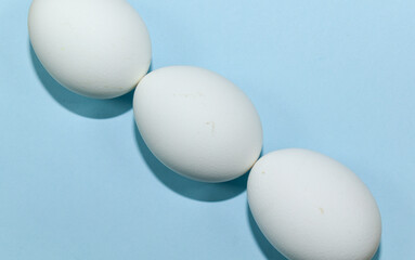 A composition of white chicken eggs laid out diagonally on a blue background