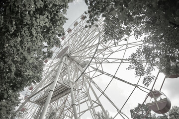 Ferris wheel
