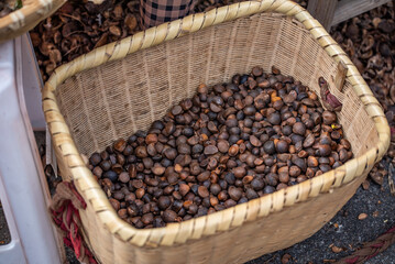 A basket of peeled camellia seeds