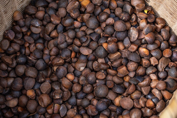 A basket of peeled camellia seeds