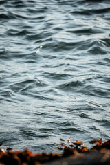 Ocean water texture on the water 
