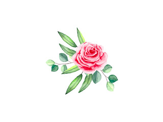 Botanical composition with green leaves, rose and eucalyptus isolated on a white background. Watercolor bouquet for the design of postcards, banners, textiles.