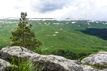 A forest standing by the rocks, overlooking the Alpine meadows. The Lago-Naki plateau in Adygea. Russia. 2021