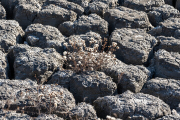 Tandohang mud flat