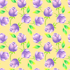 Spring floral pattern with lilac pastel flowers and green leaves, summer flowers, botanical illustration, nature. Floral pattern in hand-made style for fabrics, clothes, postcards.