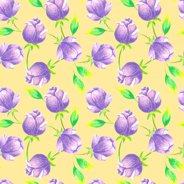 Spring floral pattern with lilac pastel flowers and green leaves, summer flowers, botanical illustration, nature. Floral pattern in hand-made style for fabrics, clothes, postcards. © Vasia_illi