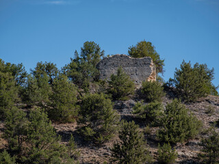 Fototapeta na wymiar castillo, Muriel de la Fuente, Soria, Comunidad Autónoma de Castilla, Spain, Europe