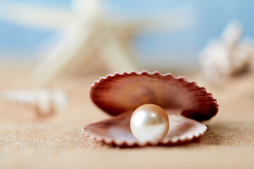 Shell with a pearl closeup - obrazy, fototapety, plakaty