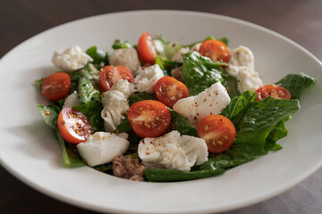 Salad with canned tuna, mozzarella and tomatoes in white bowl