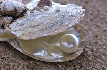 pearl in shell on the beach sand