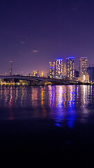 Fototapeta premium Night view of a high-rise condominium along an urban river_15