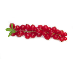Fresh red Cranberry isolated on white background