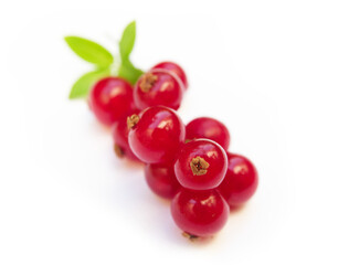 Fresh red Cranberry isolated on white backgroung, Selected focus