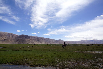 Fototapeta na wymiar 新疆ウイグル自治区・タシュクルガンの湿地帯