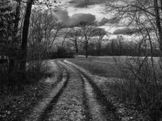 Dirt Road leading through Field and Forest in the Mostviertel Region of Lower Austria in Monochrome Blak and White