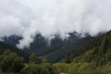 mountains in the fog