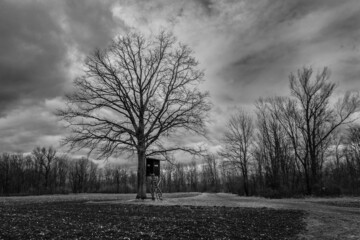 Naklejka premium Bare Tree and Perch or High Seat on a Field in a Winter Landscape in the Mostviertel Region of Austria