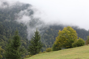 morning in the mountains