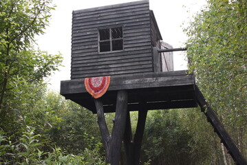 little house on a tree in the forest