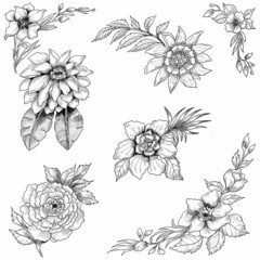 Hand draw floral sketch set design