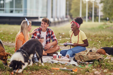 A group of students is chatting while sitting on the grass in the park with their dogs. Friendship, rest, pets, picnic