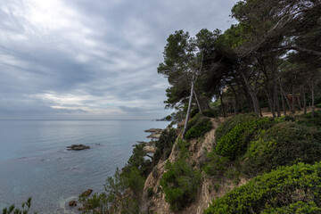 Fototapeta na wymiar Mediterranean Sea, Spain, Costa Brava. Picturesque landscape with azure sea. Pine trees on the shores of the azure coast. A beautiful beach with lush greenery.