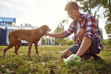 A young guy walking in the park with his dog and cleaning it's poop. Friendship, walk, pets