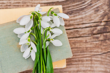 on a wooden table with old books lies a bouquet of white snowdrops with copy space. first spring flowers