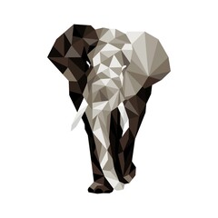 Elephant design illustration in polygonal style