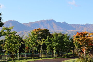 秋の前田森林公園と手稲山