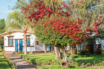 A typical Peruvian hacienda in the city of Nazca - 486682106