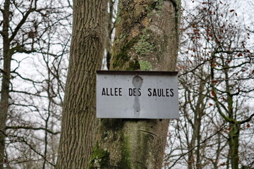 Allée des Saules. Pancarte de nom d'allée dans un bois.