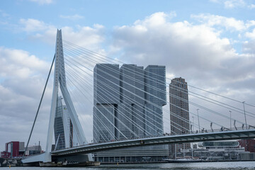 Erasmus Bridge De Rotterdam building - Rotterdam, Netherlands