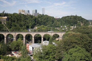 Bridge Forest Arch View