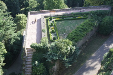 Park Nature Trees Green Track