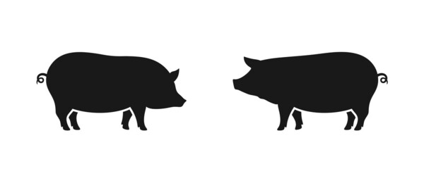 Pig logo. Isolated pig on white background