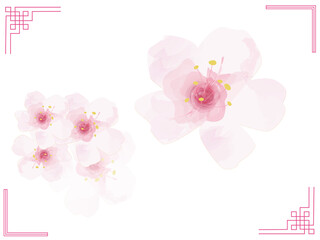 Fototapeta premium 水彩タッチの桜の花の集まり、桜の花の単品イラストのセット