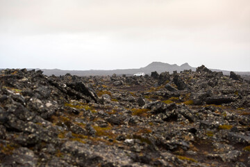 Lavafelder auf der Halbinsel Reykjanes