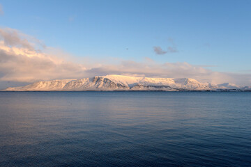 Blick auf den Insel Videy von der Uferprommenade von Reykjavik
