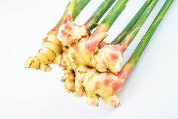 Fresh young ginger on white background
