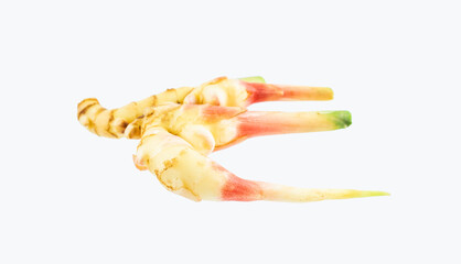 Piece of fresh tender ginger on a white background